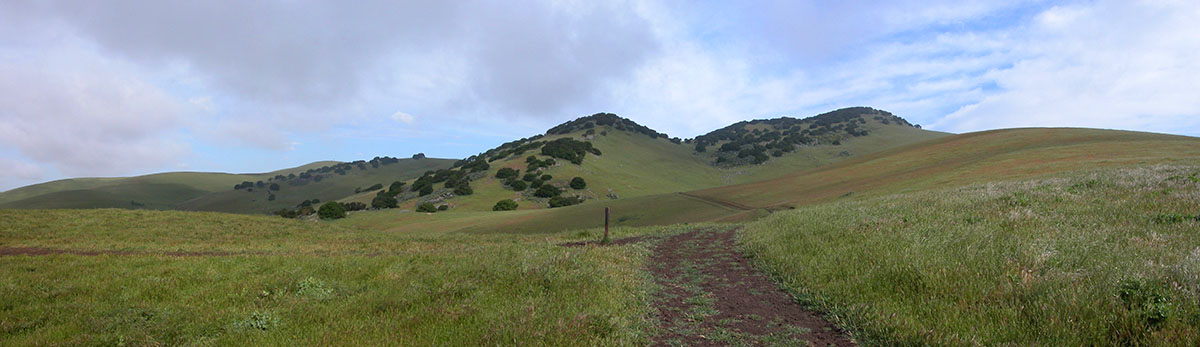 Brushy Peak Regional Preserve