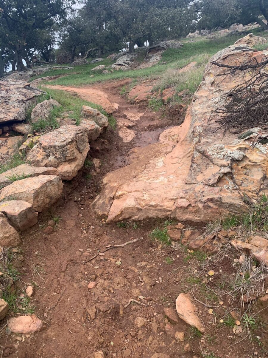 Rocks in the trail.