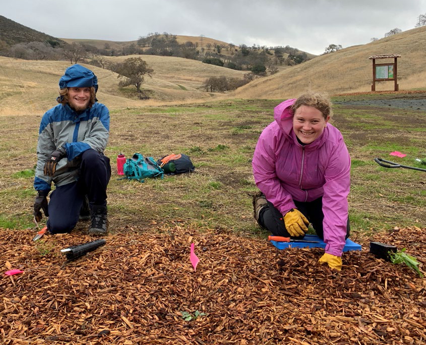 Diablo Restoration Team volunteers planting at our Mangini Ranch Educational Preserve
