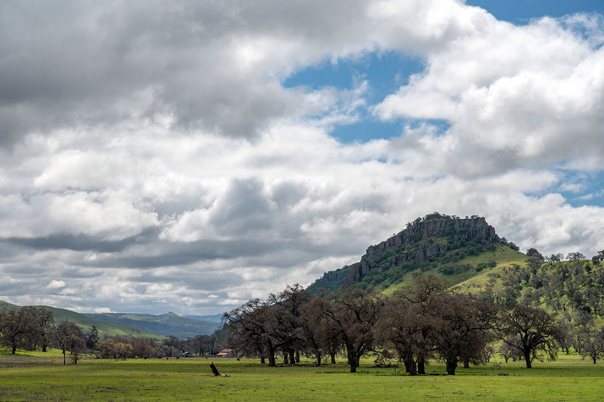 Oak savanna along Quien Sabe Road in San Benito County in the Diablo Range