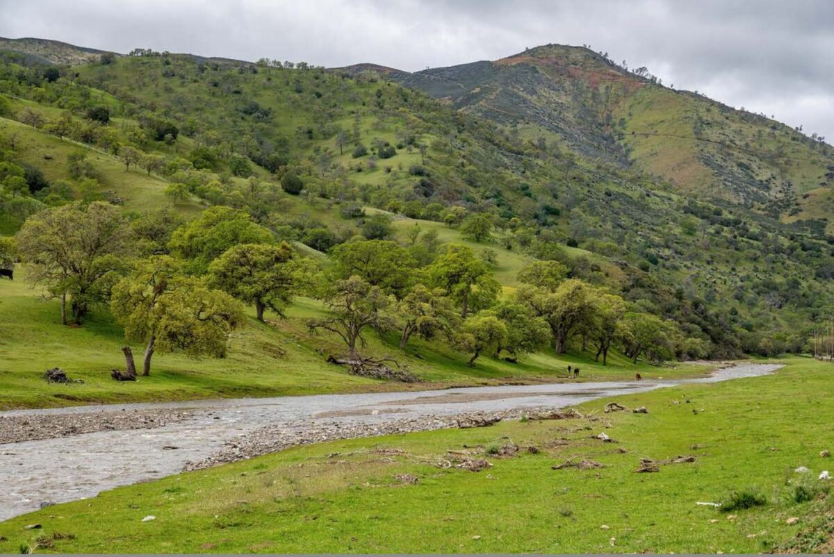 Del Puerto Creek