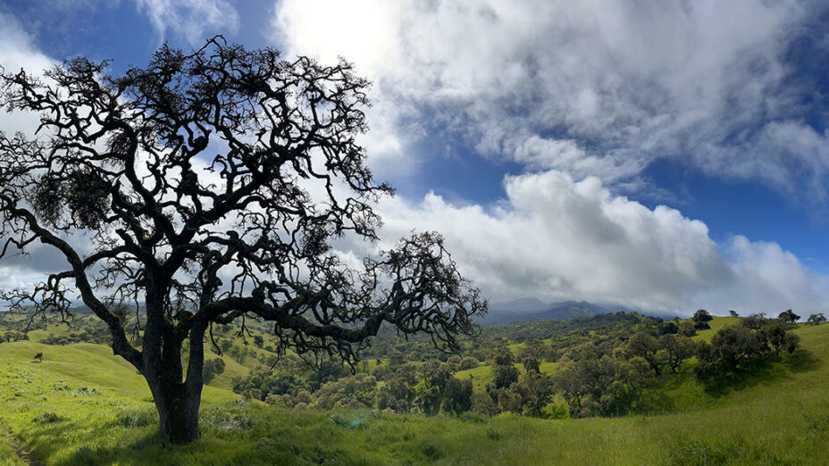 Pacheco State Park. Photo by Ted Clement