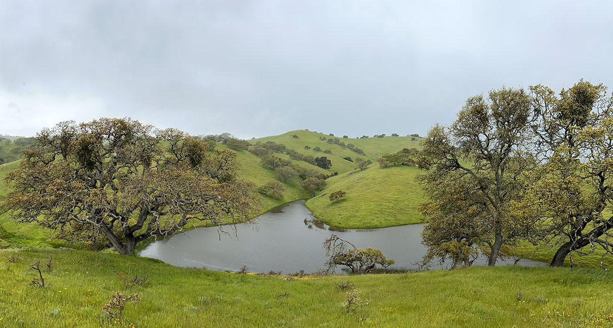 Pacheco State Park