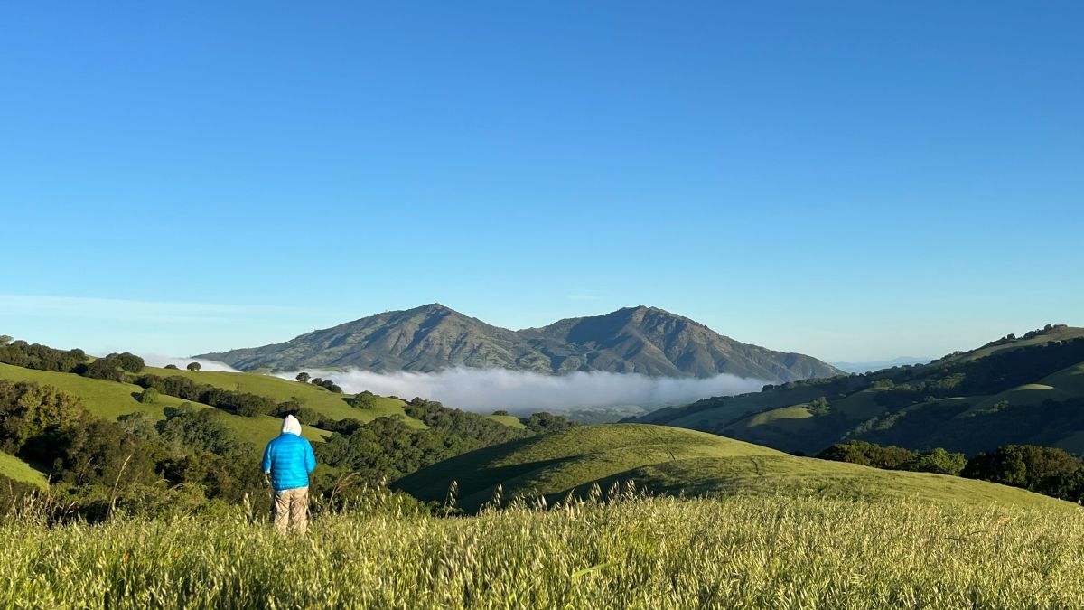 Mount Diablo
