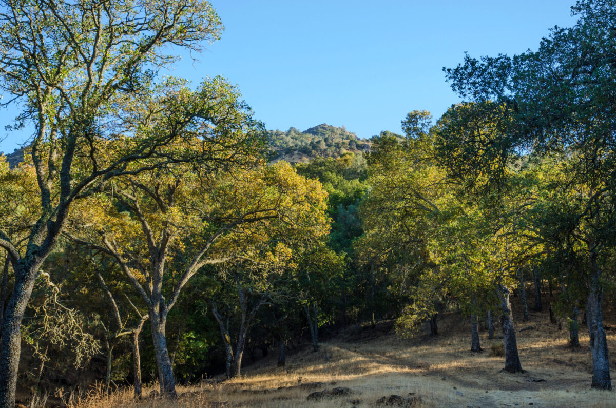 north peak ranch