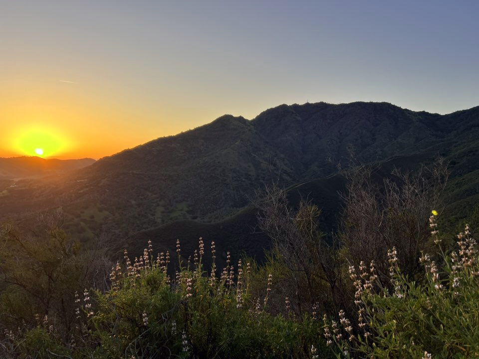 mount diablo sunrise with black sage