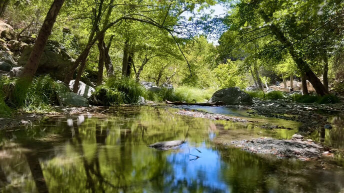 Alameda Creek flowing through Sunol Wilderness Regional Preserve