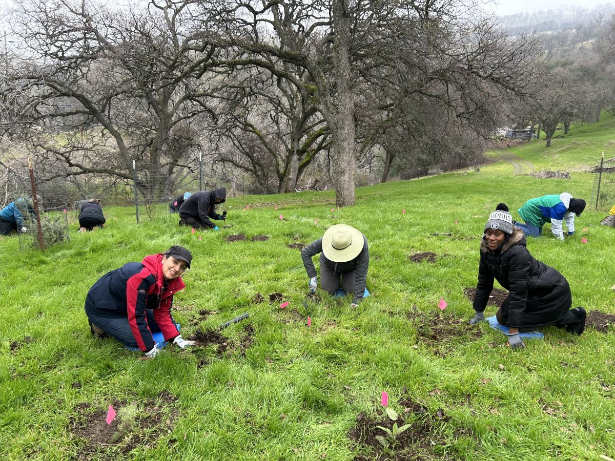 SMD staff plant at Marsh Creek 7