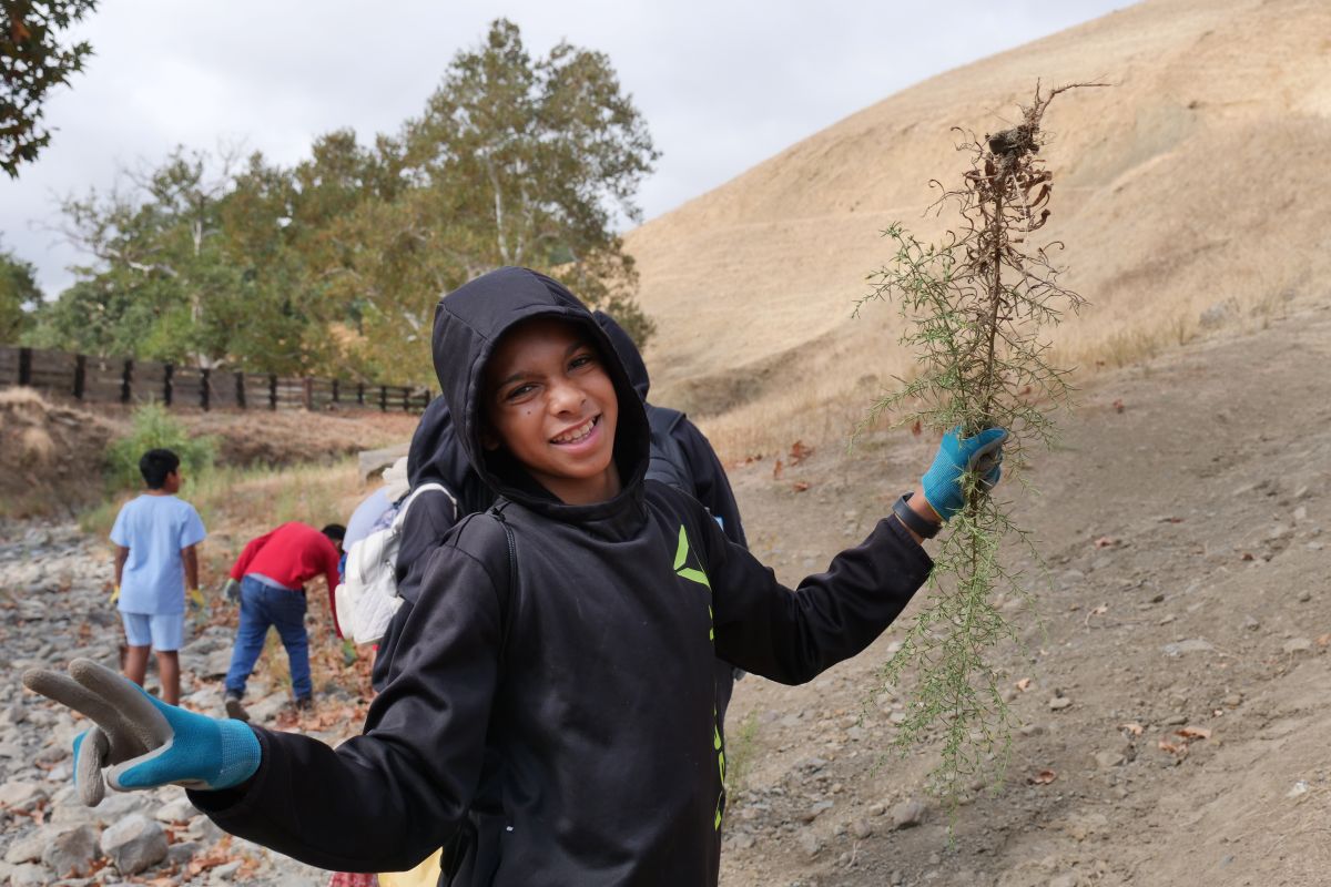 middle school student removes invasives at curry Canyon Ranch