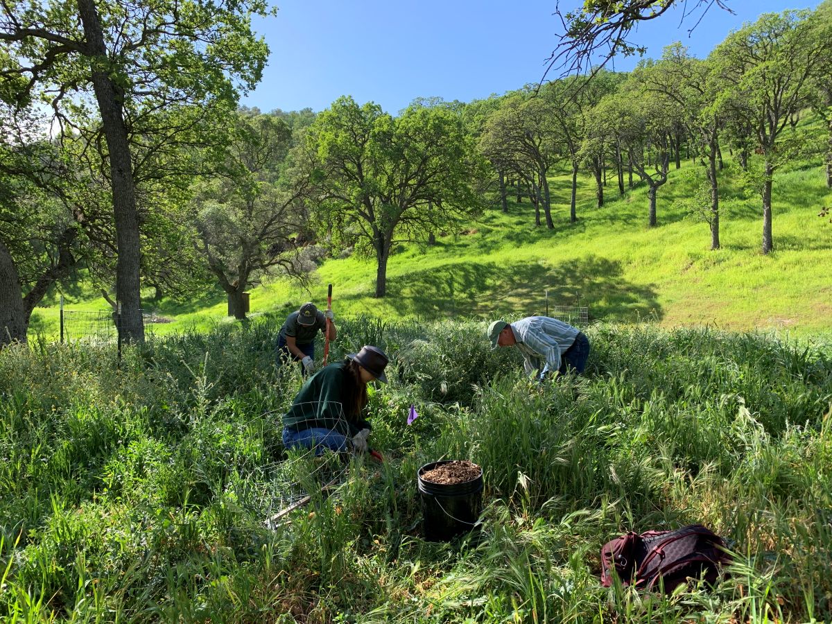 Marsh Creek 7 DiRT volunteers