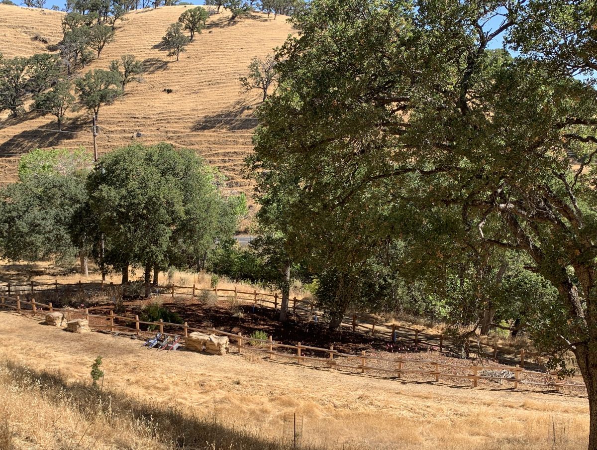 Marsh Creek 7 pollinator garden