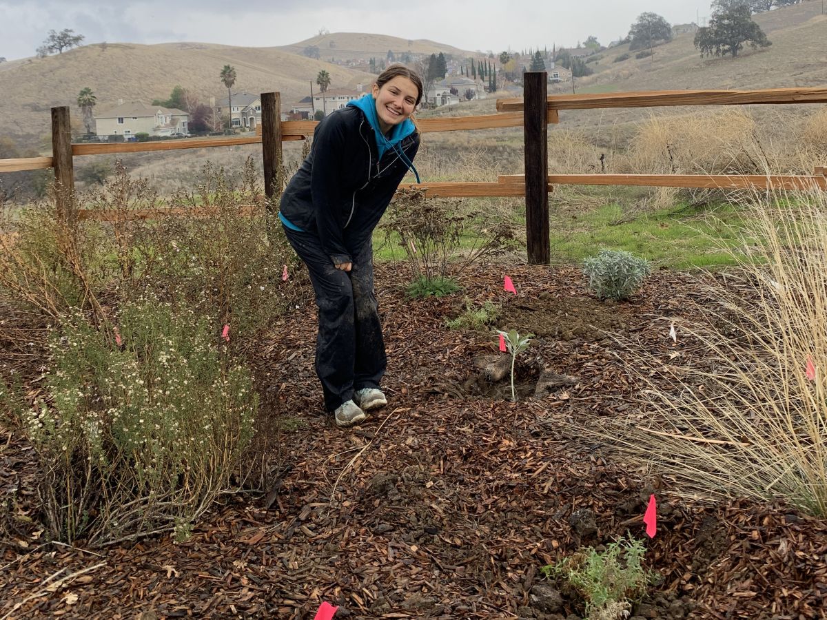 Mangini Preserve pollinator garden