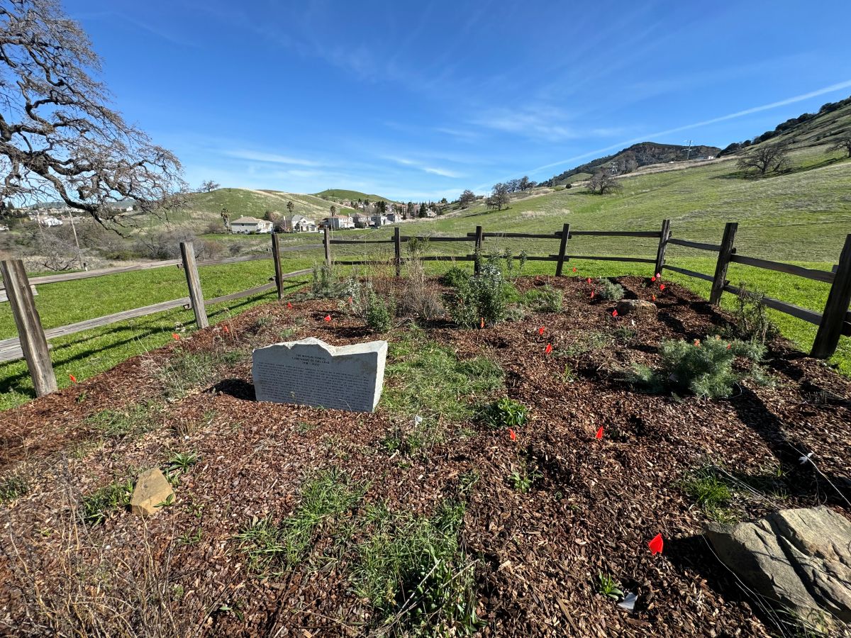 Mangini Preserve pollinator garden