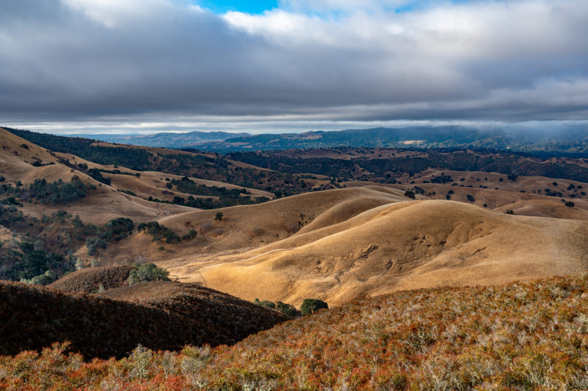 Mount Diablo State Park