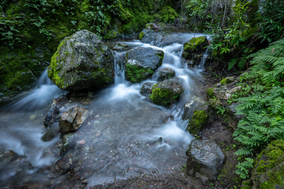 Mount Diablo State Park