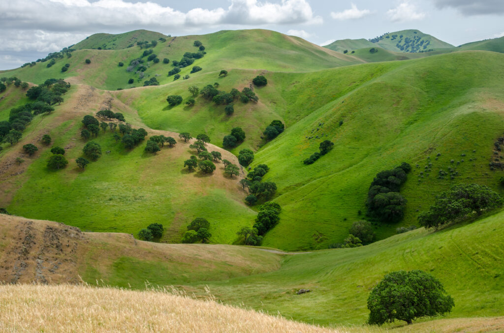 D7A16612-Photo by Scott Hein