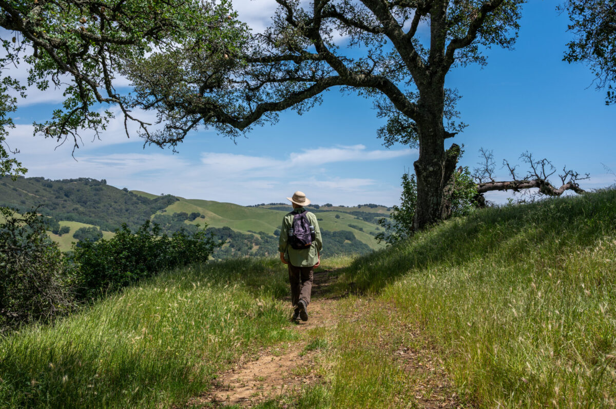A hiker enjoys the gorgeous green landscape