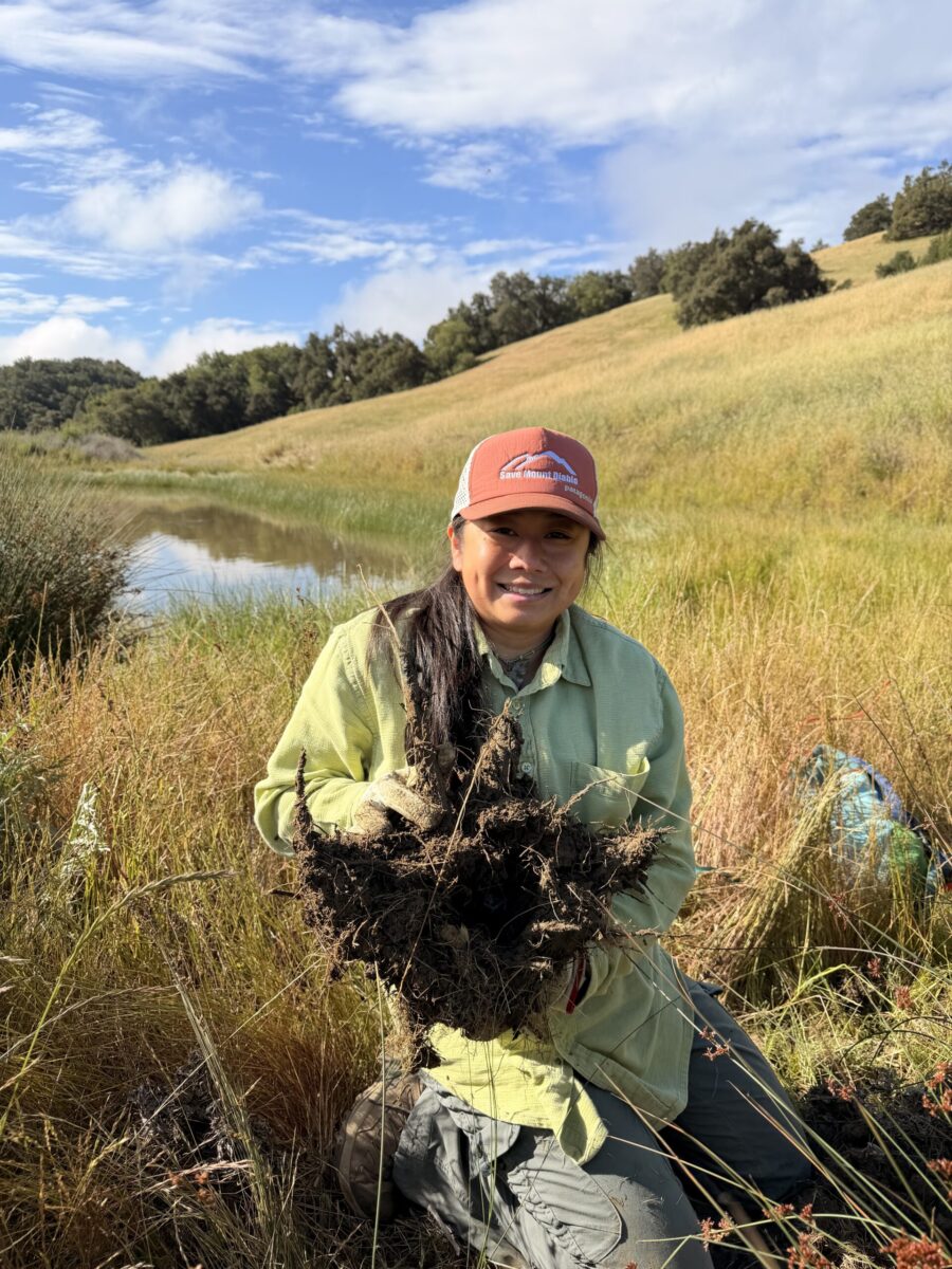 Christina with dug up artichoke thistle root mass.
