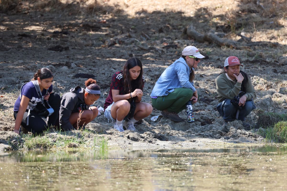 students explore Curry Creek in the summer