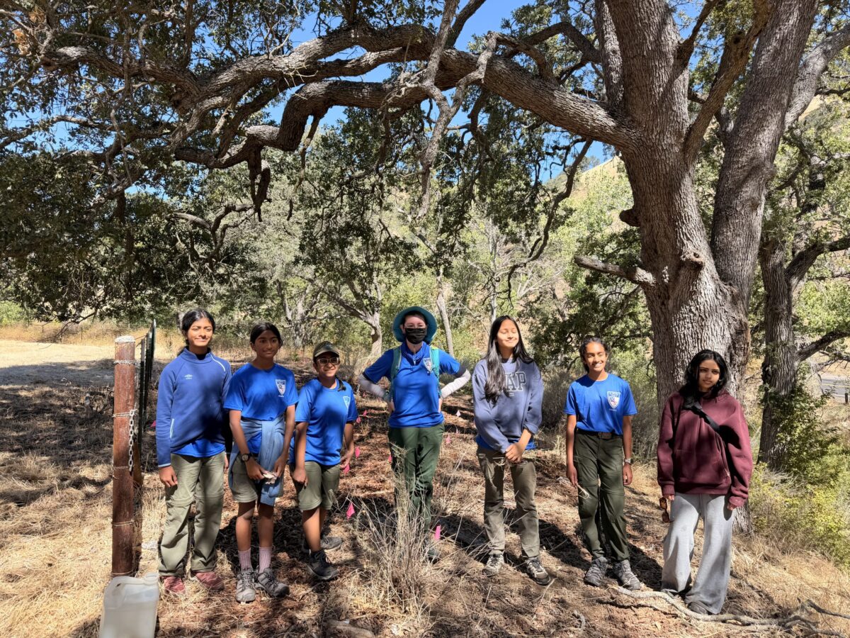 Girl Scout Troop 36G at Marsh Creek 7