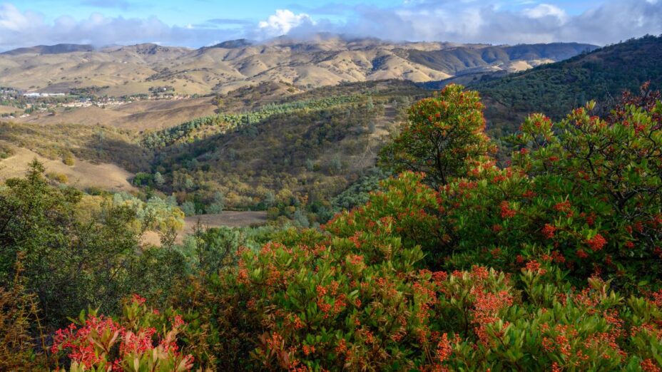 Donner Canyon on Mount Diablo