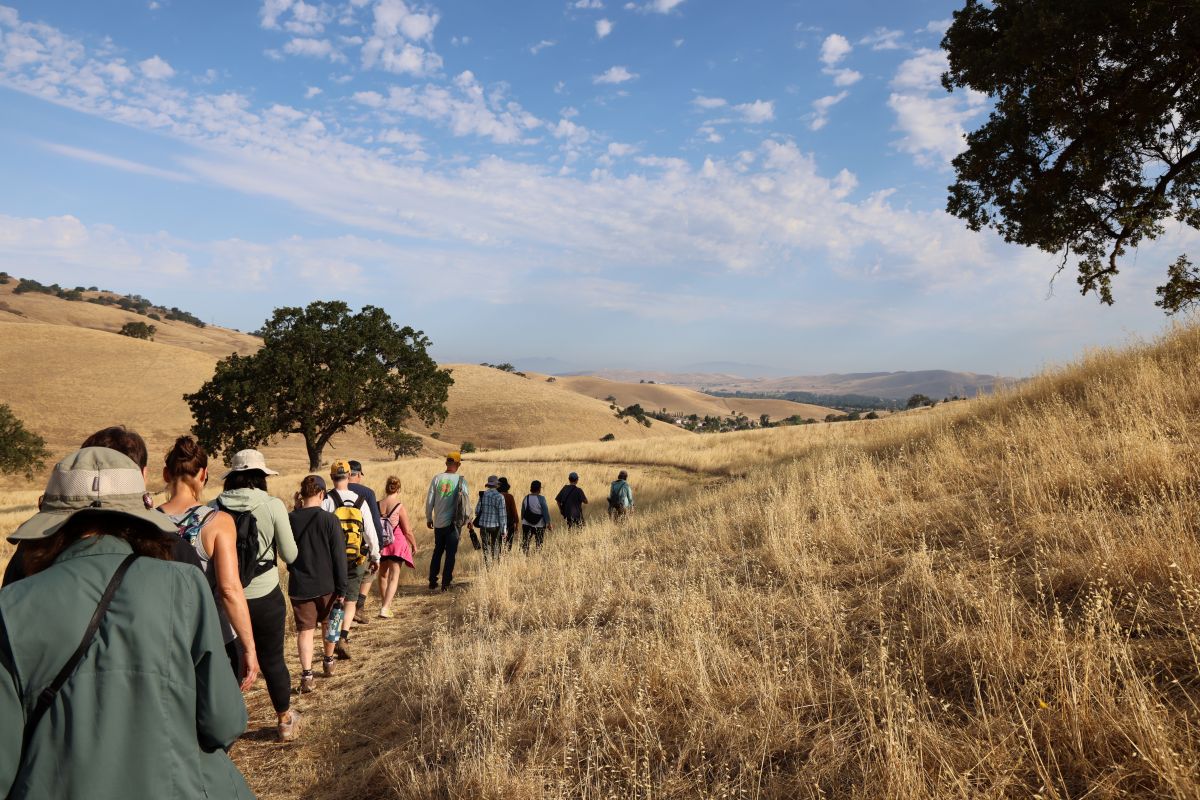 Hikers walking in Mangini Preserve on a beautiful day