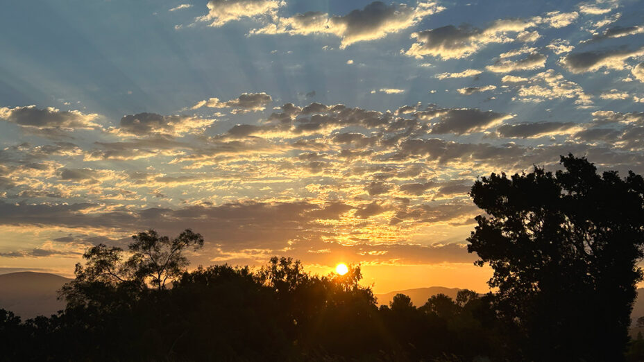 Brilliant sunrise